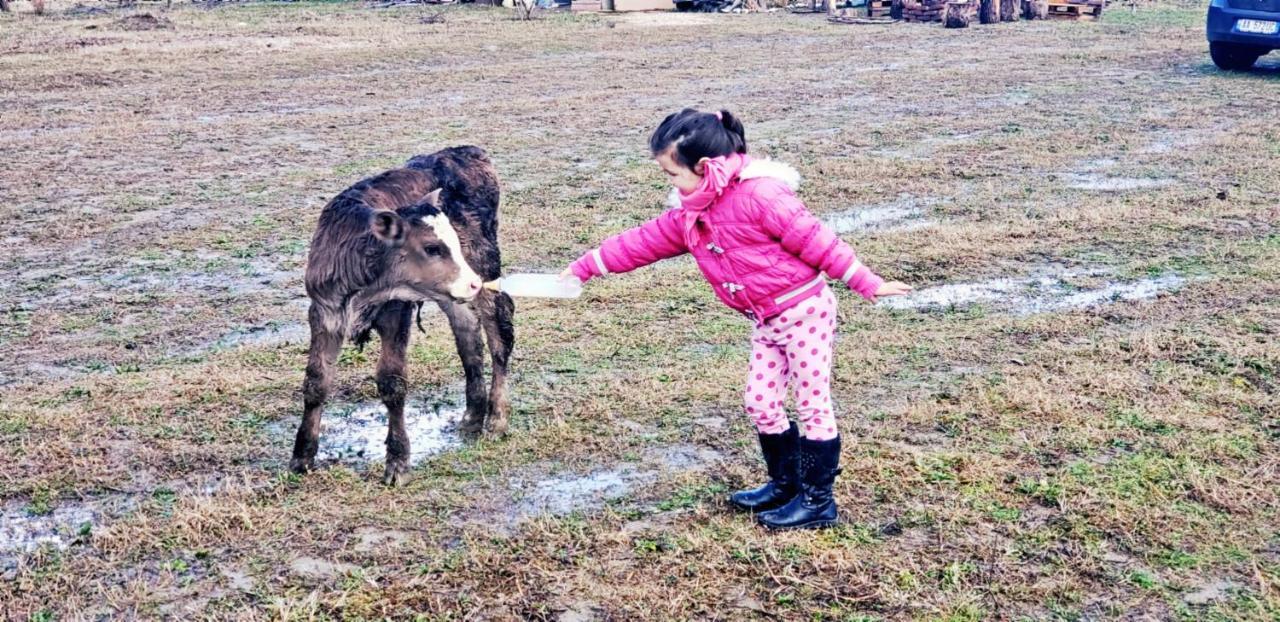 Life On The Farm Hotel Nepravishte Buitenkant foto