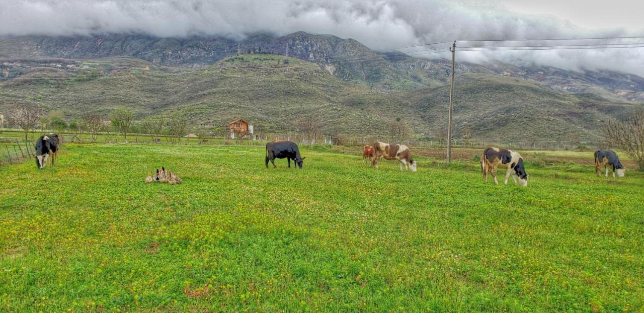 Life On The Farm Hotel Nepravishte Buitenkant foto